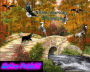 Nativepride33