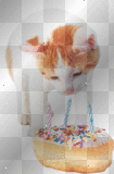 kitty birthday 1