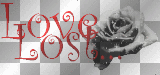 Love Lost Black Rose