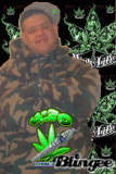 weed