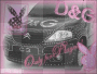 dnG Playboy