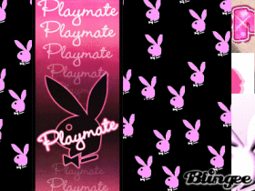 playbOy