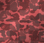 bape