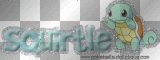 Squirtle 