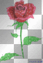 glitter rose 