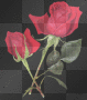 Glitter Roses (Red)