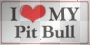 love my pitbull