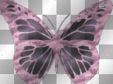 Pink/black Butterfly Pink/black Butterfly