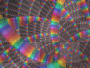 Lsd 