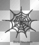 spider web