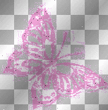 pink butterfly