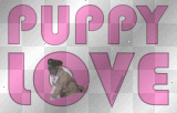puppy love