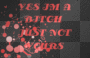 bitch
