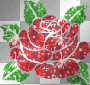  A sexy Rose