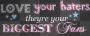haters