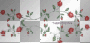 rose's