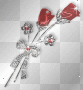 shiny roses