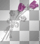 a rose