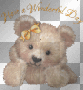 WONDERFUL DAY BEAR