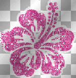 Pink Flower