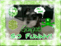 mii dog