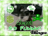 mii dog