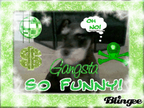 mii dog