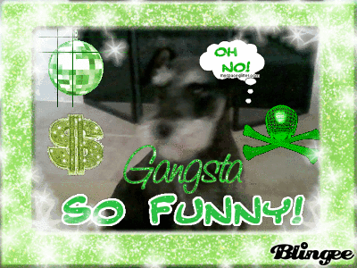 mii dog