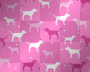 DogBackground