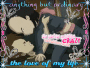 crazy yumi and ulrich
