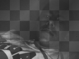 IN THE DARK IN THE DARK