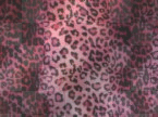 l l