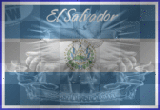 SALVI  PRIDE