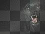 panther
