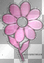 pretty pink flower