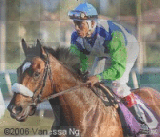 Barbaro!