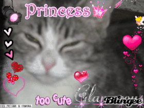 A cute picture