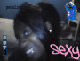 bria_aka_alex