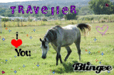 Traveller.. 