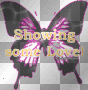 Butterfly Showing Love