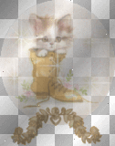 cat in a globe