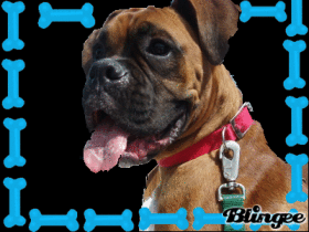 tyson