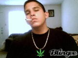 cloverleaf_713_713