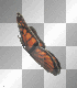 monarch butterfly monarch butterfly