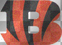 Bengals Bengals