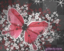 butterfly glitter