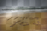 miss ya