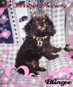 Beautiful Susie