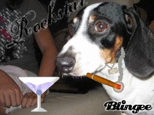 Biscuit the Rockstar