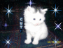 baby fluffy